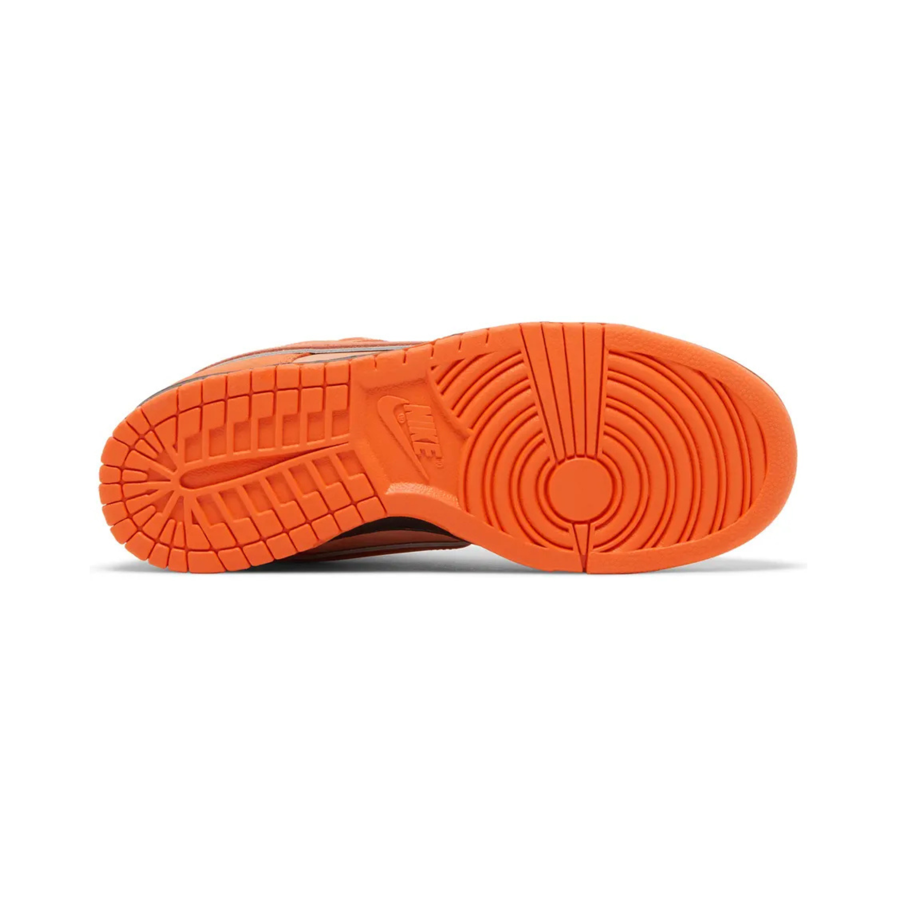 Nike SB Dunk Low 'Concepts Orange Lobster'